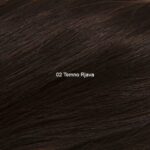 Temno Rjava