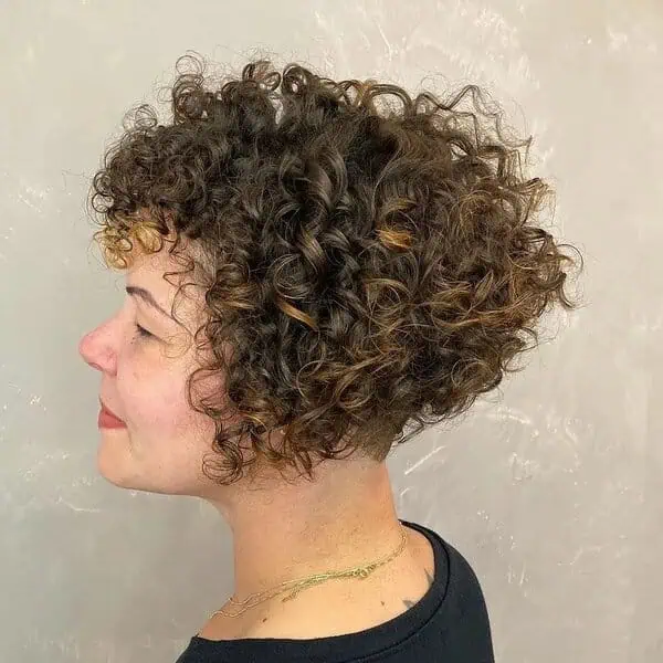 podstrizen kodrast paz